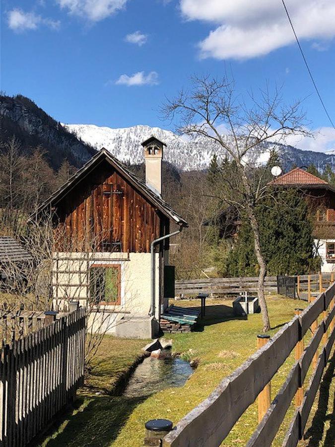 Apartment Goisernperle Bad Goisern Exterior foto